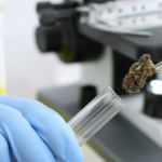 Minor Cannabinoids Show Major Gains in Multiple US States
