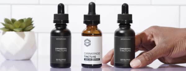 How to Start a Hemp Business in Florida