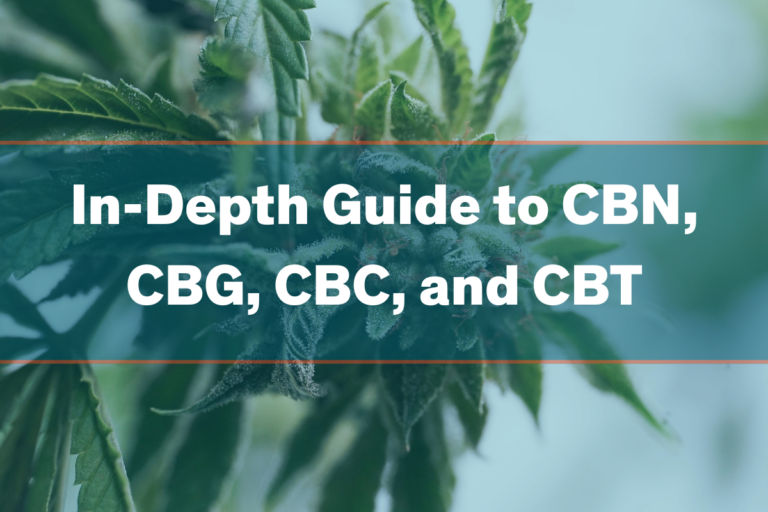 An In-Depth Guide to CBN, CBG, CBC, and CBT Products